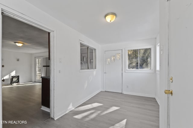 entrance foyer featuring wood-type flooring