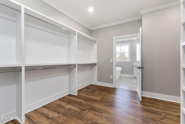 spacious closet with dark wood-type flooring