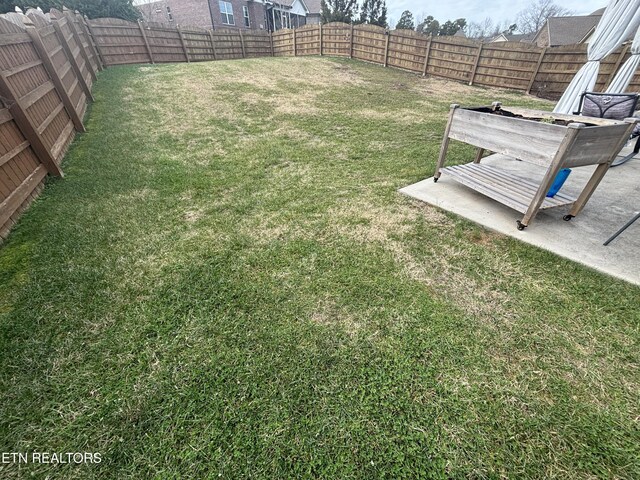 view of yard with a fenced backyard