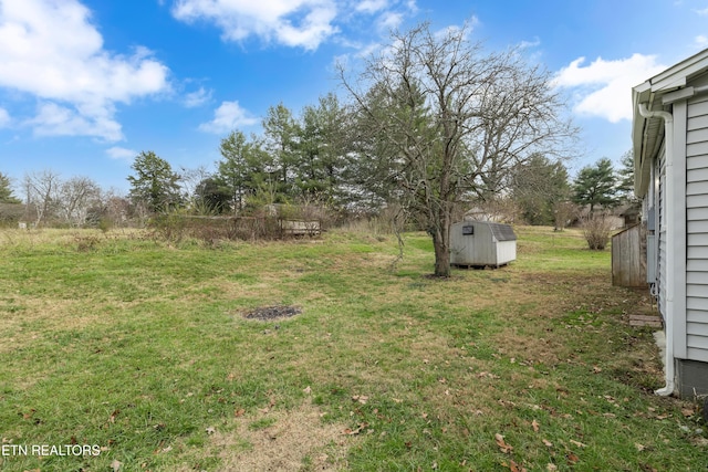 view of yard featuring a shed