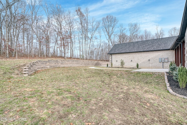 view of yard featuring a patio area