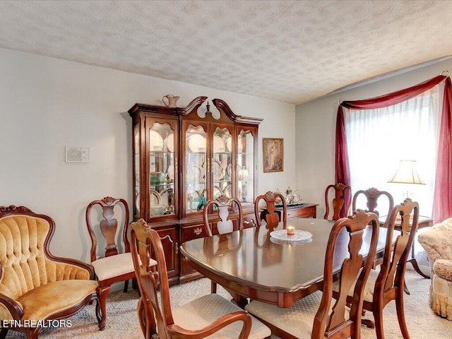 carpeted dining space with a textured ceiling