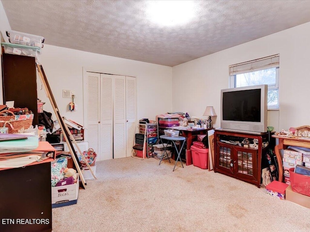 interior space featuring a textured ceiling and light colored carpet