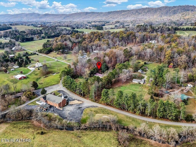 aerial view with a mountain view