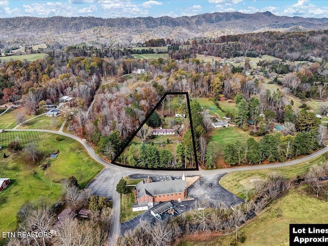 birds eye view of property with a mountain view