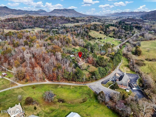 birds eye view of property with a mountain view