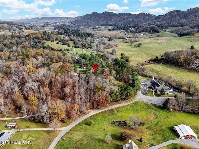 aerial view with a mountain view