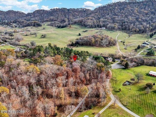 drone / aerial view with a mountain view and a rural view