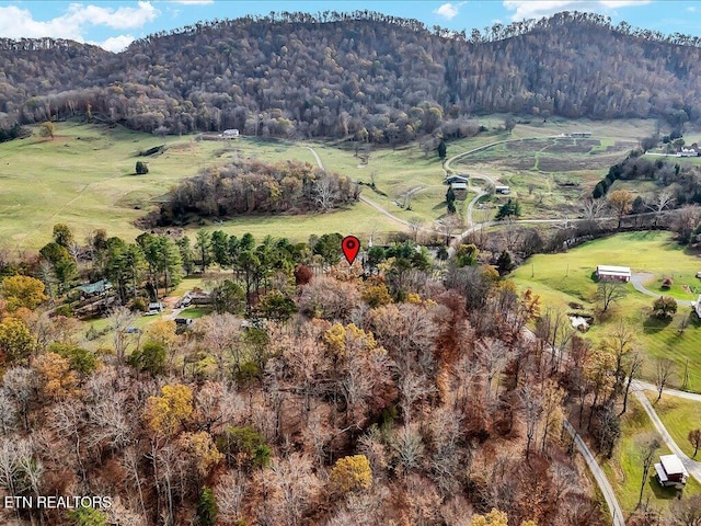 view of mountain feature with a rural view