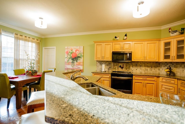 kitchen featuring black range oven, sink, light stone counters, and tasteful backsplash