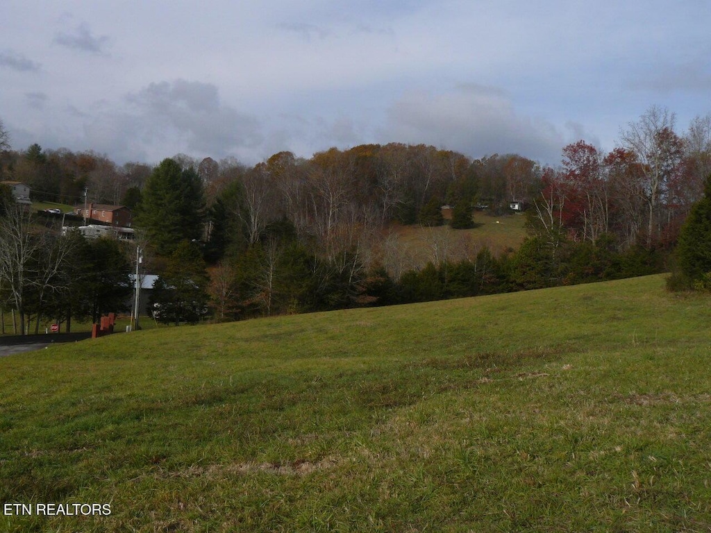 117 Henley St, Tazewell, TN 37879 - photo 2