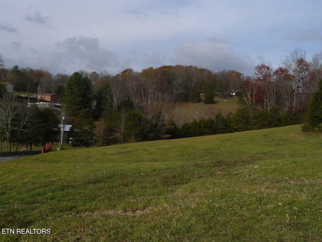 117 Henley St, Tazewell, TN 37879 - photo 2
