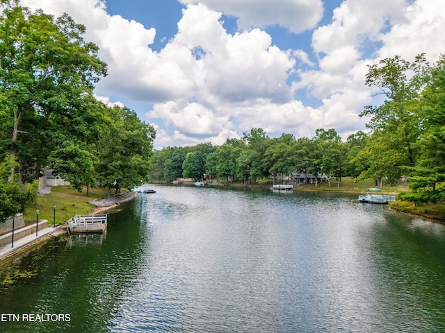 water view featuring a dock