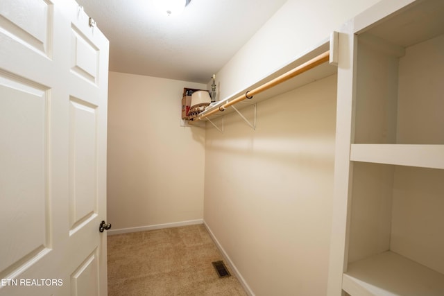 spacious closet with light carpet