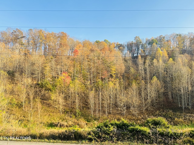 2021 Sherm Mountain Rd, Sneedville TN, 37869 land for sale