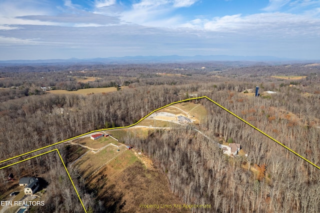 aerial view featuring a mountain view