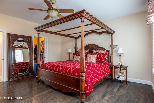 bedroom featuring dark hardwood / wood-style floors, ceiling fan, a walk in closet, and a closet