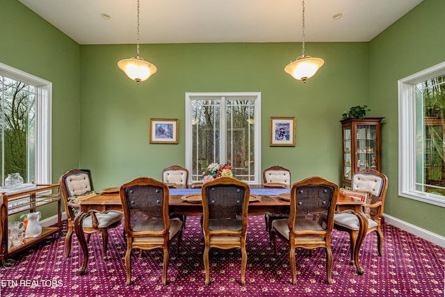 carpeted dining area with a healthy amount of sunlight