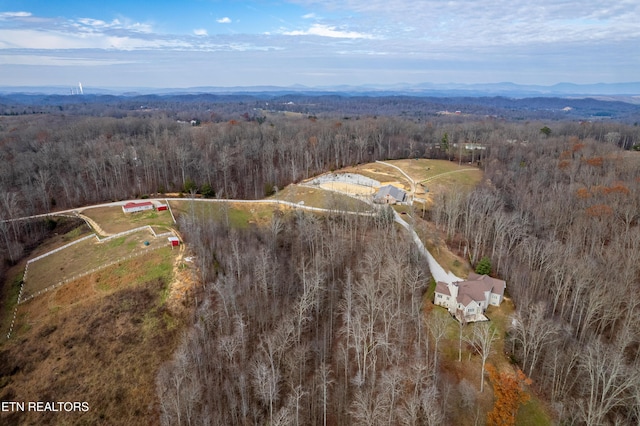 bird's eye view with a mountain view