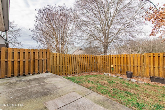 view of yard with a patio