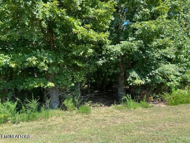 E Shore Dr, Rockwood TN, 37854 land for sale