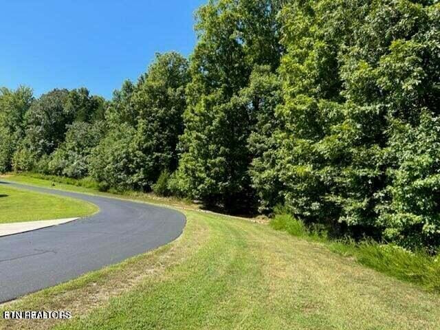 Listing photo 3 for E Shore Dr, Rockwood TN 37854