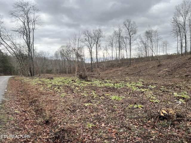 LOT2 Arwine Rd, Decatur TN, 37322 land for sale