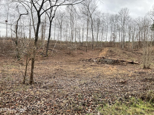 LOT1 Arwine Rd, Decatur TN, 37322 land for sale