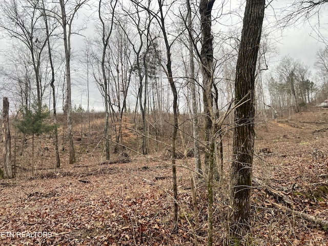 Listing photo 2 for LOT1 Arwine Rd, Decatur TN 37322