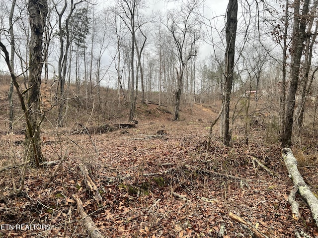 Listing photo 3 for LOT1 Arwine Rd, Decatur TN 37322