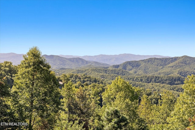 property view of mountains