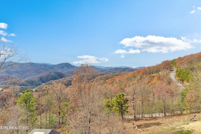 view of mountain feature