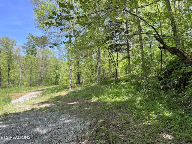 123 Ingle Ln, Tazewell, TN 37879 - photo 4