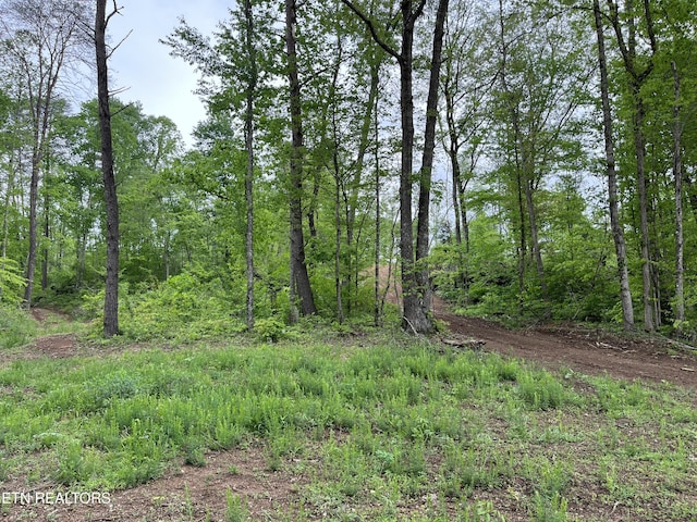123 Ingle Ln, Tazewell, TN 37879 - photo 5