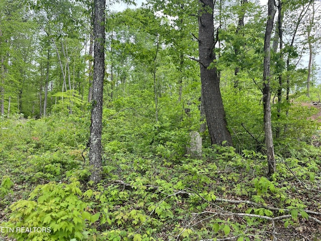 123 Ingle Ln, Tazewell, TN 37879 - photo 8