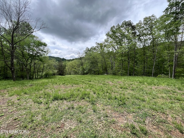 123 Ingle Ln, Tazewell, TN 37879 - photo 9