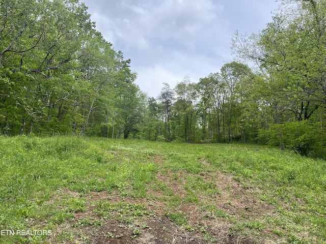123 Ingle Ln, Tazewell, TN 37879 - photo 13