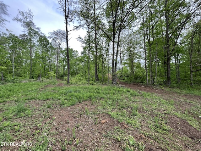 123 Ingle Ln, Tazewell, TN 37879 - photo 10