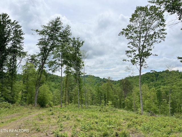 123 Ingle Ln, Tazewell, TN 37879 - photo 14