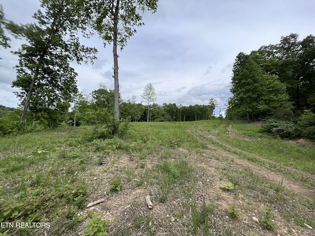 123 Ingle Ln, Tazewell, TN 37879 - photo 15