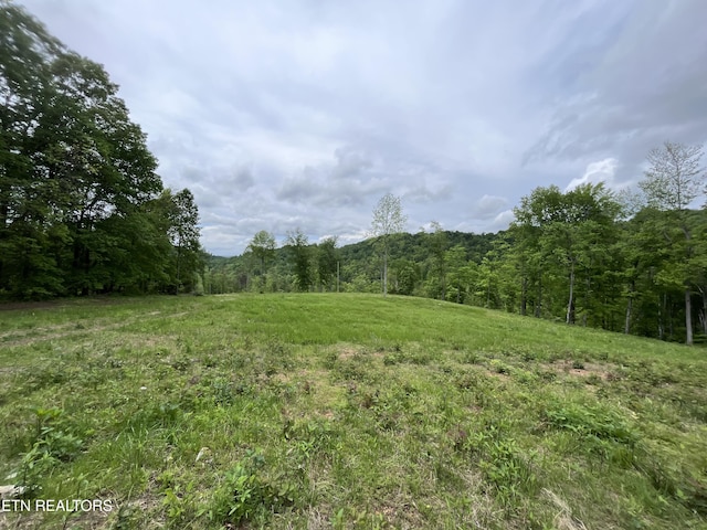 123 Ingle Ln, Tazewell, TN 37879 - photo 18