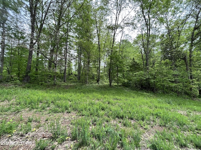 123 Ingle Ln, Tazewell, TN 37879 - photo 6