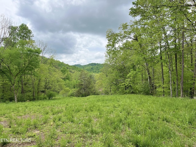 123 Ingle Ln, Tazewell, TN 37879 - photo 7
