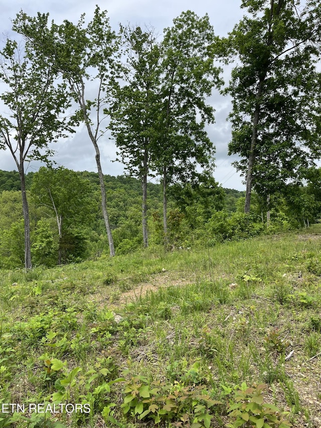123 Ingle Ln, Tazewell, TN 37879 - photo 16