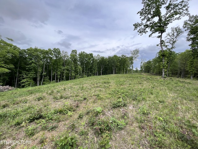 123 Ingle Ln, Tazewell, TN 37879 - photo 19