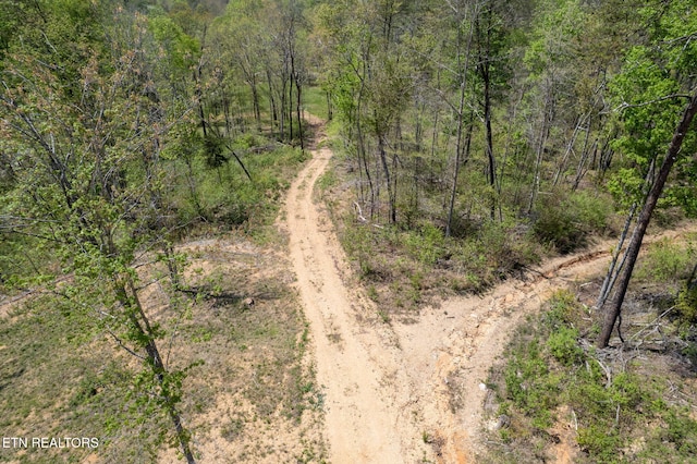 123 Ingle Ln, Tazewell, TN 37879 - photo 22