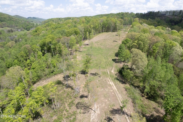 123 Ingle Ln, Tazewell, TN 37879 - photo 23