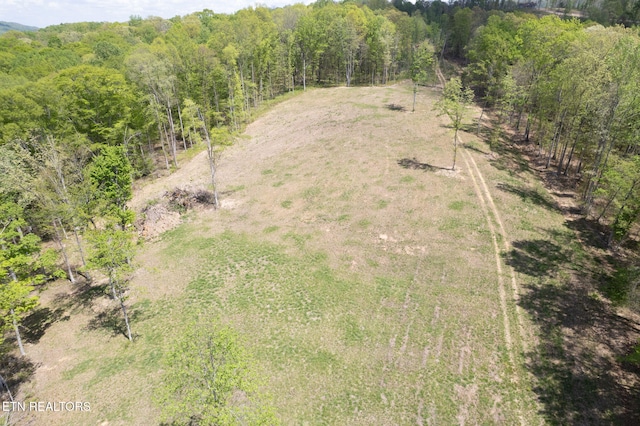 123 Ingle Ln, Tazewell, TN 37879 - photo 24