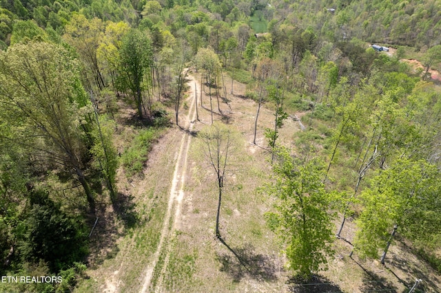 123 Ingle Ln, Tazewell, TN 37879 - photo 25