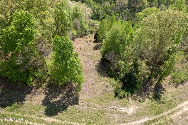 123 Ingle Ln, Tazewell, TN 37879 - photo 27